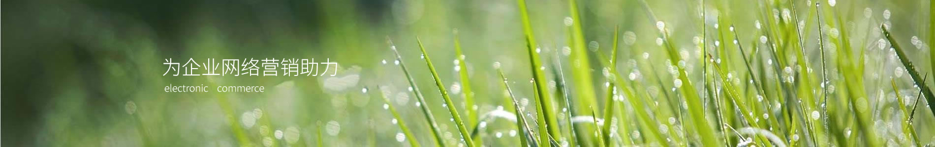 ݽγƬ豸޹˾